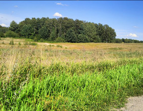 Działka na sprzedaż, Wołowno Za Miastem, 118 000 zł, 19 700 m2, 16421/00702S/2024