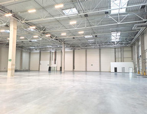 Magazyn do wynajęcia, Gdynia Hutnicza, 11 900 zł, 350 m2, GB06138