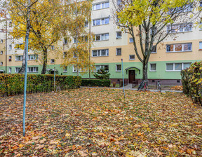 Mieszkanie do wynajęcia, Poznań Poznań-Grunwald Poznań Grunwald Swoboda, 2000 zł, 51 m2, IR639305312