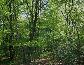 Leśne na sprzedaż, Pruszkowski Nadarzyn Strzeniówka, 990 000 zł, 5000 m2, KID01454418