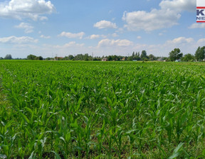 Działka na sprzedaż, Grodziski Baranów Żaby, 1 150 000 zł, 15 207 m2, 4067/1989/OGS