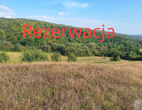 Rolny na sprzedaż, Przemyski Fredropol Huwniki, 480 000 zł, 120 500 m2, 2056/5738/OGS