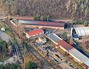 Magazyn, hala na sprzedaż, Lubiński Lubin Marii Skłodowskiej-Curie, 3 500 000 zł, 1456 m2, 11/14016/OHS