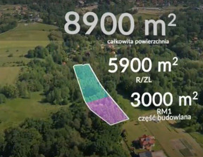 Działka na sprzedaż, Krakowski Mogilany Gaj Brzyczyna, 350 000 zł, 8900 m2, 320495