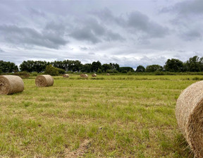 Działka na sprzedaż, Świecki Nowe Mały Komorsk Mały Komorsk, 30 000 zł, 2900 m2, FF03334