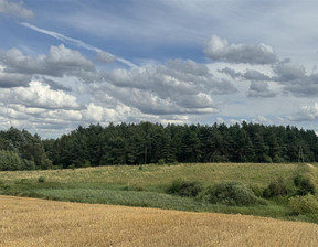 Działka na sprzedaż, Starogardzki Skócz Wielbrandowo Boczna, 39 000 zł, 6100 m2, FF03351