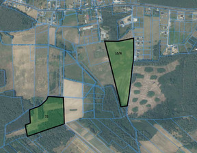 Działka na sprzedaż, Lubiński Rudna Juszowice, 401 250 zł, 79 800 m2, INTR-GS-262