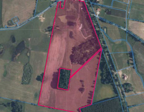 Rolny na sprzedaż, Bartoszycki (Pow.) Górowo Iławeckie, 239 062 zł, 134 309 m2, 483