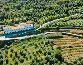 Dom na sprzedaż, Portugalia Douro, Portugal, 1 400 000 euro (6 048 000 zł), 1424 m2, 3/16449/ODS