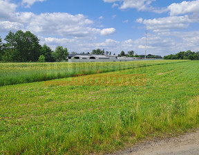 Działka na sprzedaż, Opole Turawa Kotórz Mały, 1 450 000 zł, 9800 m2, 15046