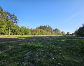 Działka na sprzedaż, Łódź Kolumny, 247 000 zł, 950 m2, 555/13397/OGS