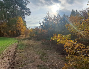 Działka na sprzedaż, Makowski Szelków Stary Strachocin, 149 000 zł, 30 060 m2, 887/13397/OGS