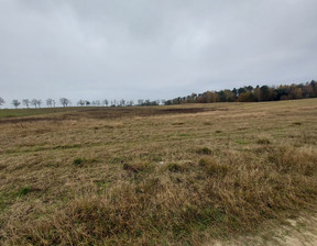 Działka na sprzedaż, Międzychodzki Sieraków Izdebno, 79 000 zł, 1500 m2, 896/13397/OGS