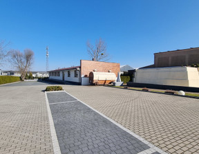 Obiekt na sprzedaż, Brzeziński Brzeziny, 2 150 000 zł, 300 m2, 28/13397/OOS