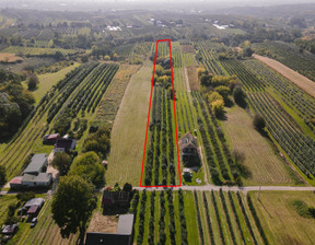 Rolny na sprzedaż, Sandomierski Samborzec Milczany, 169 000 zł, 12 200 m2, 543/13397/OGS