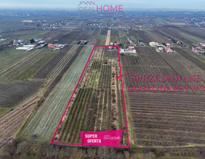 Dom na sprzedaż, Sandomierski Obrazów Żurawica, 480 000 zł, 87,7 m2, 1111/6619/ODS