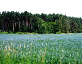 Handlowo-usługowy na sprzedaż, Poznański (pow.) Swarzędz (gm.) Zalasewo, 6 716 000 zł, 55 964 m2, 472/11661/OGS