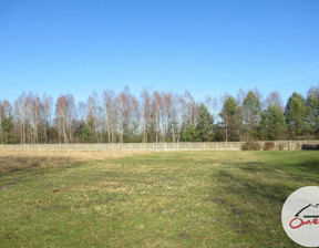 Działka na sprzedaż, Myszkowski (Pow.) Koziegłowy (Gm.) Winowno, 100 000 zł, 1067 m2, 8657