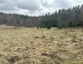 Działka na sprzedaż, Wejherowski Bieszkowice Piekiełko, 499 000 zł, 46 000 m2, WJ03287