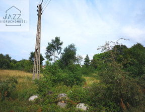 Budowlany na sprzedaż, Wejherowski Choczewo Sasino, 2 400 000 zł, 8678 m2, 42/7963/OGS