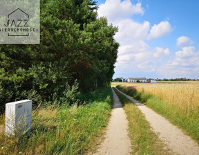 Działka na sprzedaż, Starogardzki Kaliska Dąbrowa, 490 000 zł, 15 000 m2, 24/7963/OGS