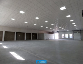 Magazyn do wynajęcia, Łódź M. Łódź Widzew, 10 350 zł, 450 m2, LOK-HW-3380