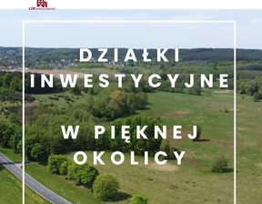 Działka na sprzedaż, Zielona Góra Zielonogórska, 11 126 850 zł, 31 791 m2, LDK895513