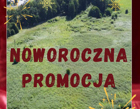 Działka na sprzedaż, Nowosolski Kolsko Konotop, 3 000 000 zł, 41 445 m2, LDK155858