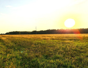 Działka na sprzedaż, Węgrowski Miedzna Zuzułka, 297 000 zł, 9900 m2, 8821/3685/OGS