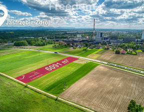 Działka na sprzedaż, Jastrzębie-Zdrój Dębina, 670 000 zł, 6091 m2, 4199/3685/OGS