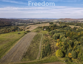 Działka na sprzedaż, Brzozowski Dydnia Grabówka, 49 900 zł, 4400 m2, 7061/3685/OGS