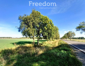 Przemysłowy na sprzedaż, Radzyński Radzyń Podlaski Wisznicka, 2 500 000 zł, 15 532 m2, 8856/3685/OGS