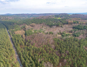 Leśne na sprzedaż, Olkuski Klucze Krzywopłoty, 350 000 zł, 51 143 m2, 7433/3685/OGS