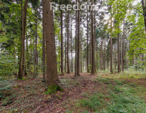 Leśne na sprzedaż, Tarnowski Wojnicz Olszyny, 979 000 zł, 9790 m2, 8684/3685/OGS