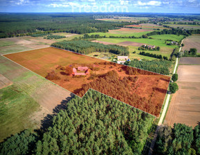 Dom na sprzedaż, Czarnkowsko-Trzcianecki Czarnków Jędrzejewo, 1 099 000 zł, 300 m2, 10503/3685/ODS