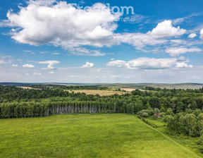 Działka na sprzedaż, Przemyski Bircza Borownica, 69 000 zł, 4600 m2, 6495/3685/OGS