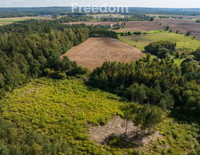 Działka na sprzedaż, Wejherowski Linia Niepoczołowice Zatorze, 1 495 000 zł, 77 078 m2, 6760/3685/OGS