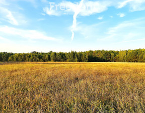 Działka na sprzedaż, Węgrowski Miedzna Zuzułka, 150 000 zł, 3001 m2, 8724/3685/OGS