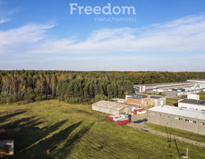 Handlowo-usługowy do wynajęcia, Rzeszowski Głogów Małopolski Pod Borem, 30 000 zł, 10 000 m2, 23/3685/OGW