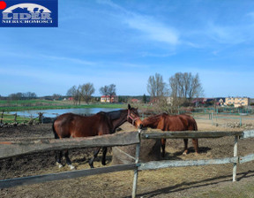 Ośrodek wypoczynkowy na sprzedaż, Wałecki Tuczno Rusinowo, 3 000 000 zł, 3800 m2, 317670212