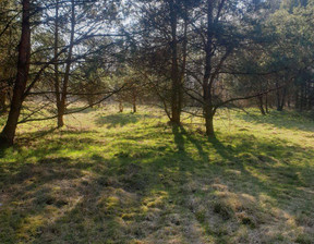 Działka na sprzedaż, Nowotomyski Nowy Tomyśl Jastrzębsko, 75 000 zł, 3000 m2, 316980212