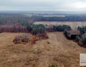 Działka na sprzedaż, Drawski Kalisz Pomorski Pepłówek Pępłówek, 1 350 000 zł, 245 314 m2, 135/DMP/DZS-376038