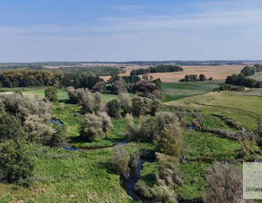 Rolny na sprzedaż, Drawski Drawsko Pomorskie Mielenko Drawskie, 330 000 zł, 71 700 m2, 129/DMP/DZS-376023