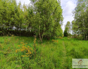 Działka na sprzedaż, Świdwiński Połczyn-Zdrój Dziwogóra, 119 000 zł, 2605 m2, 126/DMP/DZS-376010