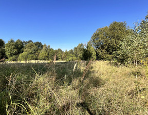 Leśne na sprzedaż, Stargardzki Marianowo Dalewo, 99 000 zł, 43 600 m2, MDN77265