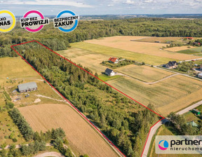 Działka na sprzedaż, Gdański Pruszcz Gdański Żuławka, 598 000 zł, 20 800 m2, PAN875428