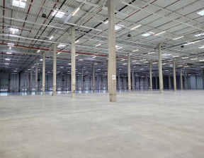 Magazyn do wynajęcia, Gdańsk Barniewice Nowy Świat, 40 400 zł, 2700 m2, 697