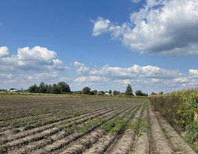 Rolny na sprzedaż, Warszawski Zachodni (pow.) Stare Babice (gm.) Topolin, 250 000 zł, 4124 m2, 778556