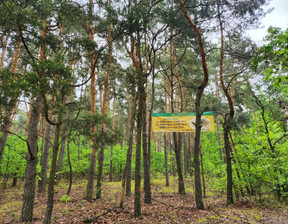 Leśne na sprzedaż, Warszawski Zachodni (pow.) Stare Babice (gm.) Borzęcin Duży, 299 000 zł, 3200 m2, 778543