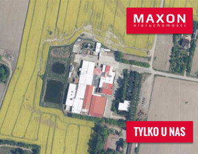 Magazyn na sprzedaż, Płocki Bielsk Umienino-Łubki, 7 816 000 zł, 7506 m2, 787/OMS/MAX